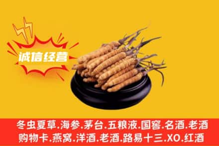 万山区回收冬虫夏草